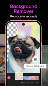 PicsArt Application